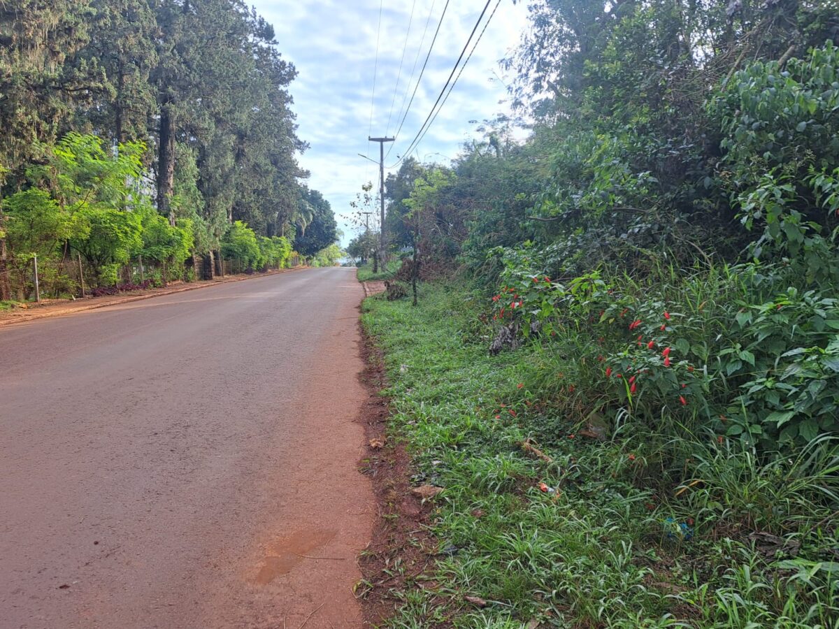 La Policia de Misiones profundiza la investigacion por la muerte de la adolescente hallada en Eldorado 1 - 5