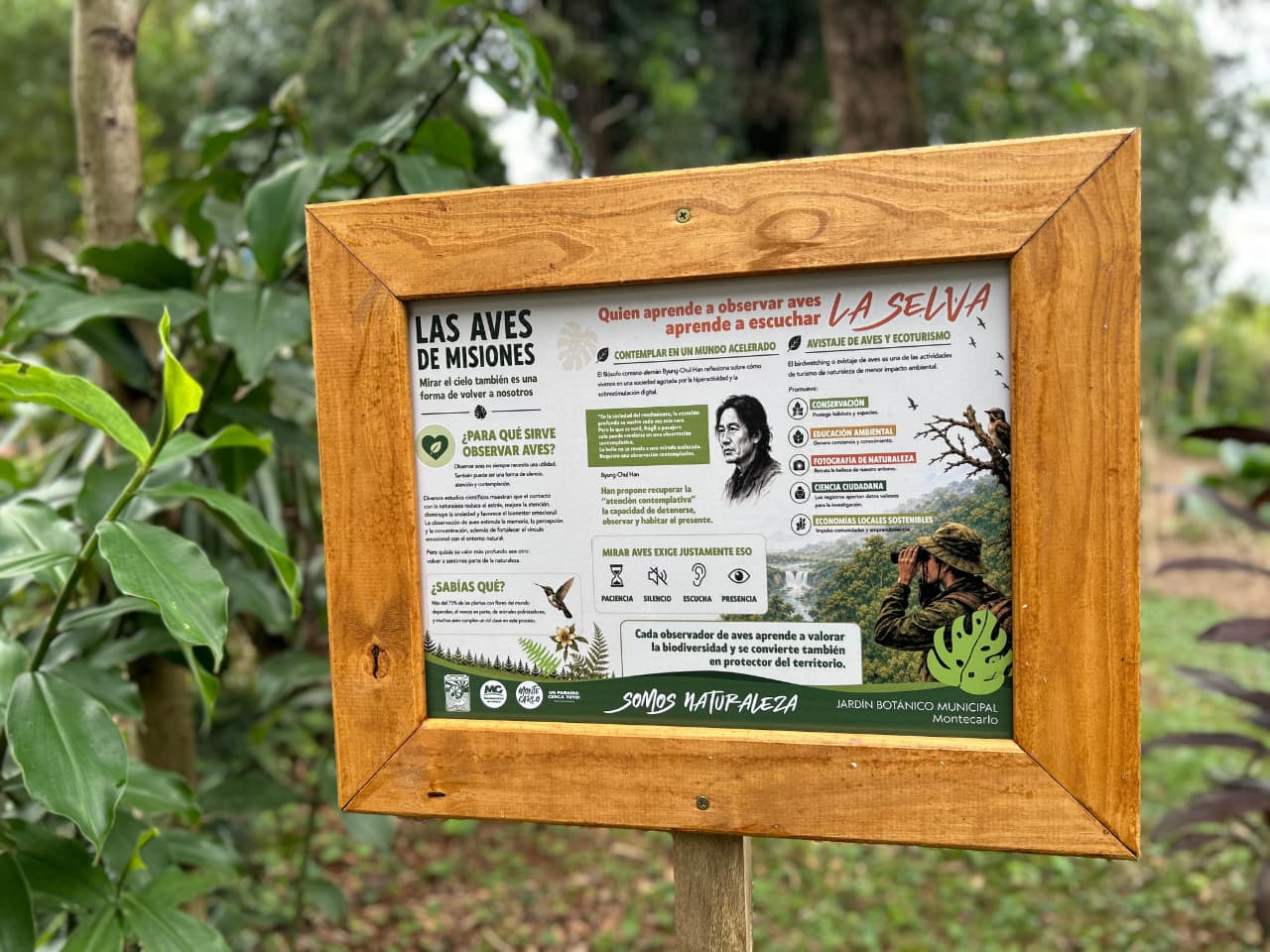 Montecarlo inauguro un recorrido educativo sobre biodiversidad y fortalecio el turismo ecologico 3 - 11