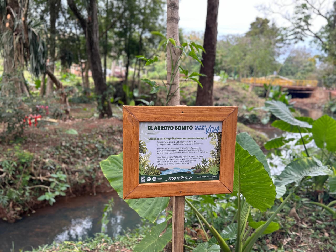 Montecarlo inauguro un recorrido educativo sobre biodiversidad y fortalecio el turismo ecologico 4 - 3