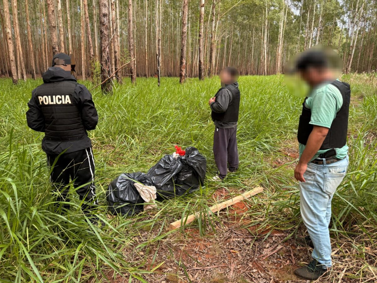 Narcos huyeron y abandonaron marihuana valuada en mas de 248 millones en San Ignacio 1 - 1
