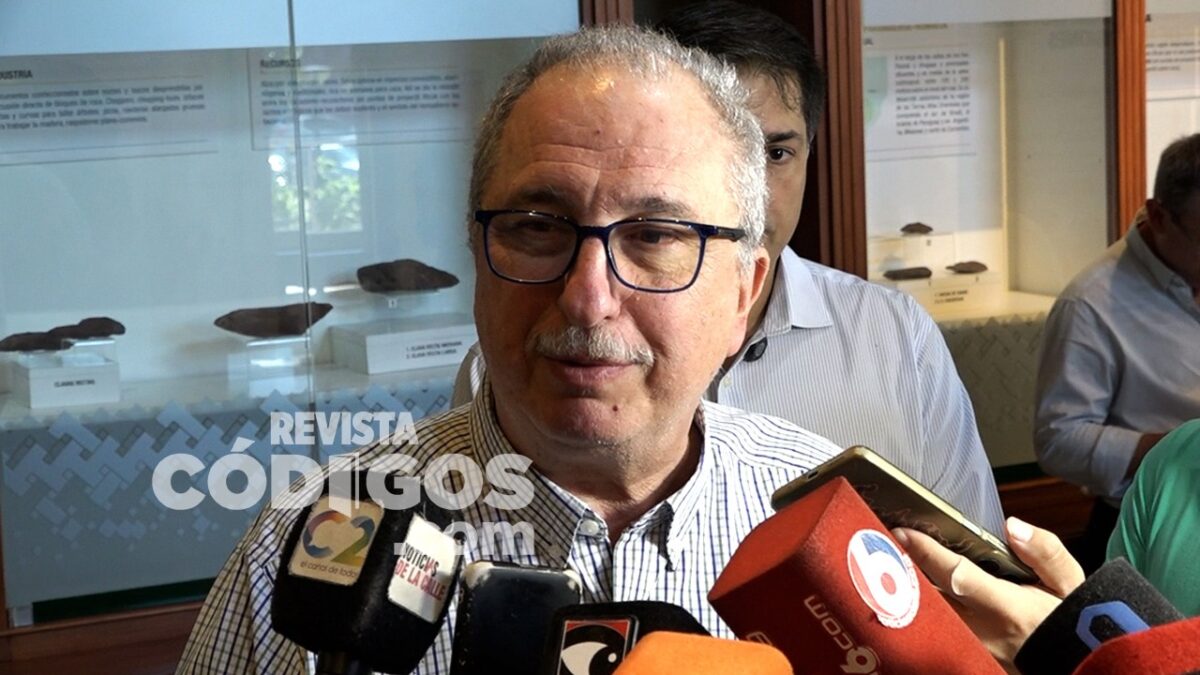 Cuidado de la Selva: 