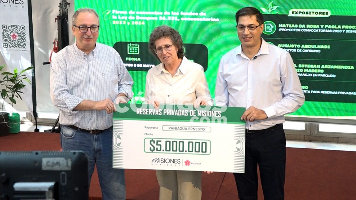 PASSALACQUA Y LA SELVA 7 - 7