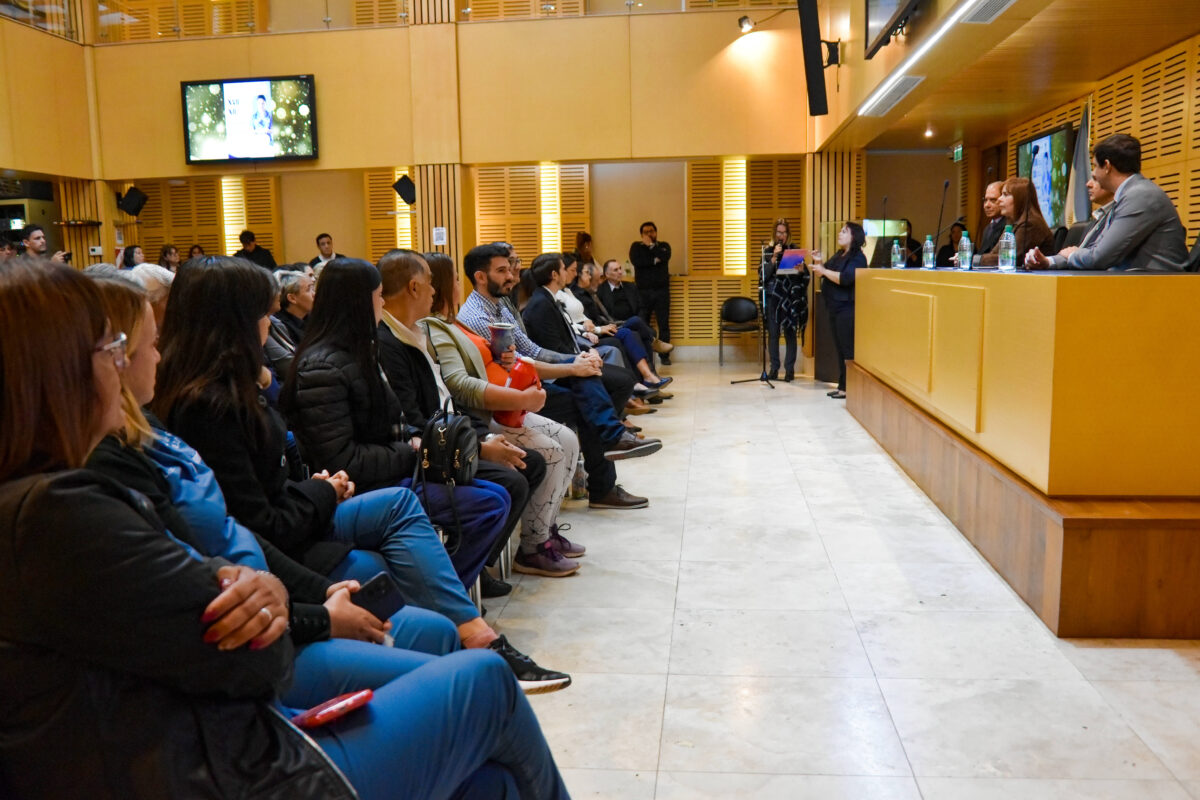 legislatura enfermeria 2 - 5