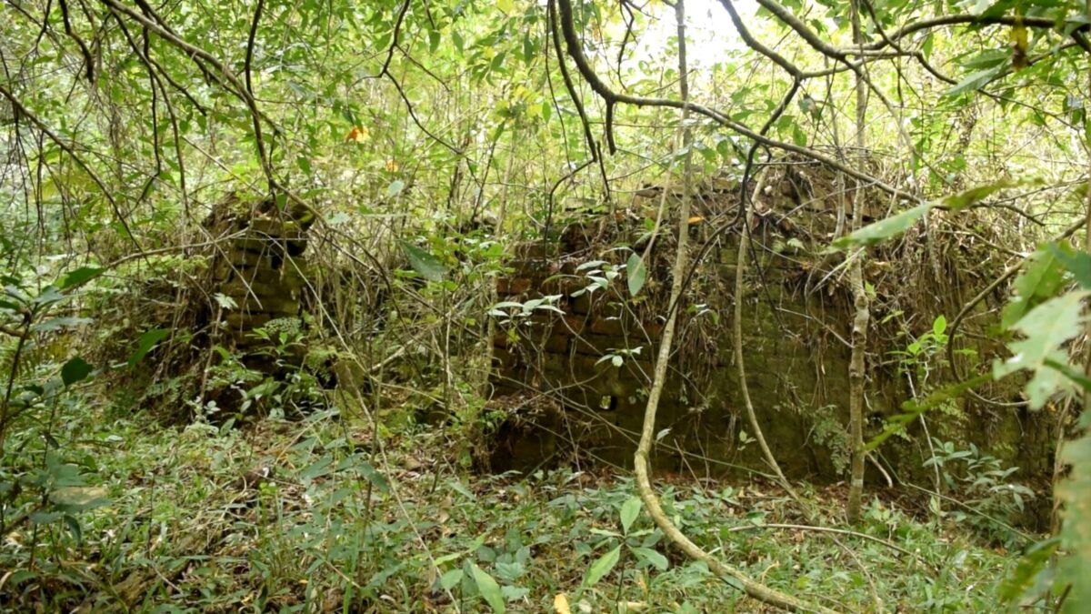 Passalacqua criticó el ajuste del Gobierno de Milei a parques nacionales: “Me duele profundamente” 3 6 - passalacqua parques nacionales 4 - 5