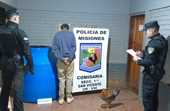 robo de gallo