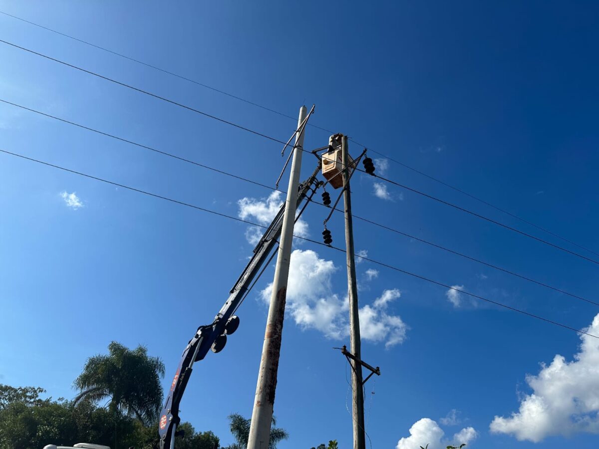 Avanza la renovación de la línea troncal que abastece a Andresito y fortalecerá el servicio eléctrico en el norte misionero 1 2 - ENERGIA DE MISIONES trabajos 1 - 1