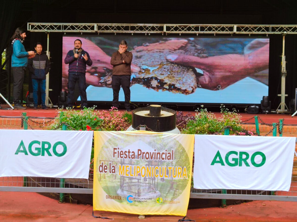 Fiesta meliponicultura 4 - 7