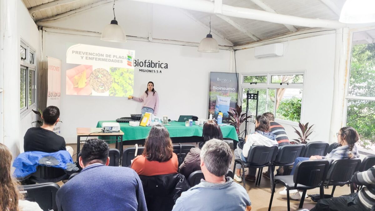 Inició el Taller de Producción de Plantines Hortícolas y Medicinales en la Biofábrica 2 4 - Inicio el Taller de Produccion de Plantines Horticolas y Medicinales en la Biofabrica 2 - 3