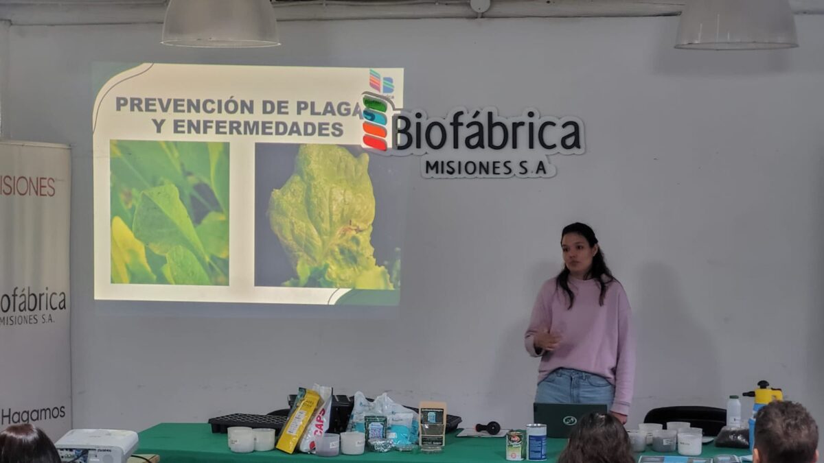 Inició el Taller de Producción de Plantines Hortícolas y Medicinales en la Biofábrica 1 2 - Inicio el Taller de Produccion de Plantines Horticolas y Medicinales en la Biofabrica 3 - 1