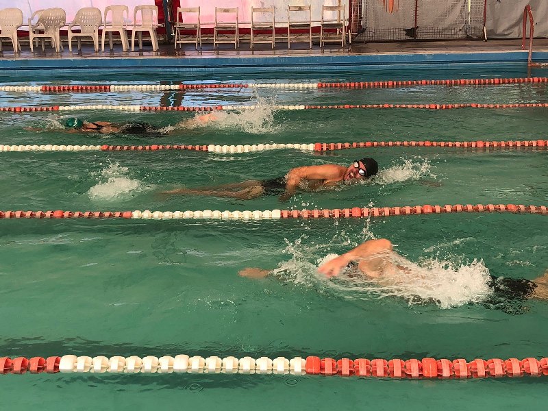 Misiones brilló en los Juegos Argentinos y Latinoamericanos para Personas Trasplantadas con 26 medallas 1 2 - Juegos argentinos pacientes trasplantados 6 - 1