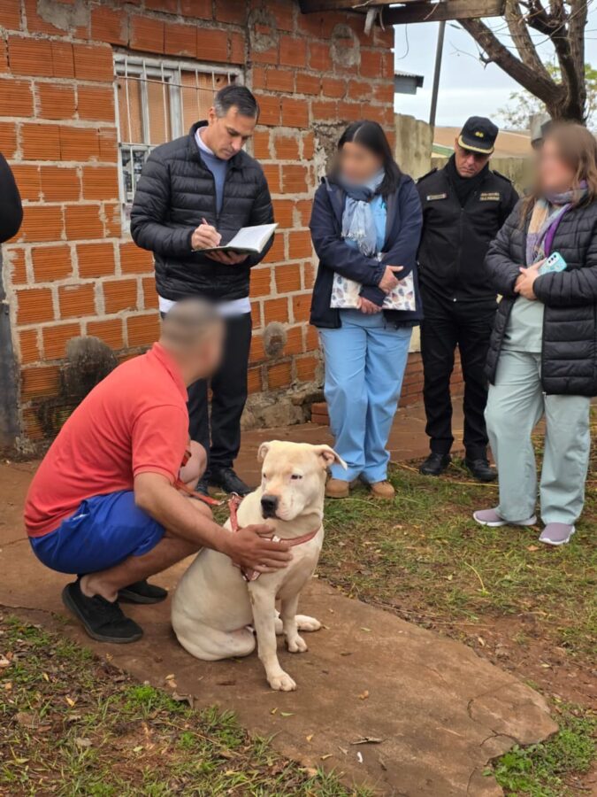 La Policía intervino y resguardó a tres pitbulls que mataron a otro perro en Itaembé Miní 4 8 - La Policia resguardo a los tres pitbulls considerados agresivos que mataron a otro perro en Itaembe Mini 2 - 7