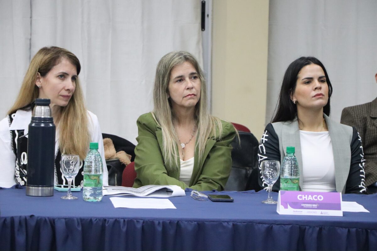 Misiones impulsa una red regional para fortalecer la prevencion de consumos problematicos 7 - 5