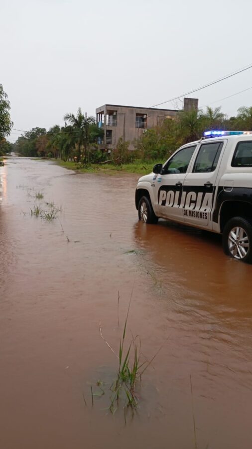 asistencia temporal 2 - 5