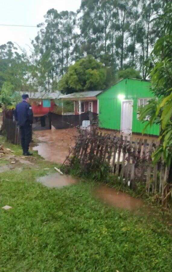 asistencia temporal 3 - 7