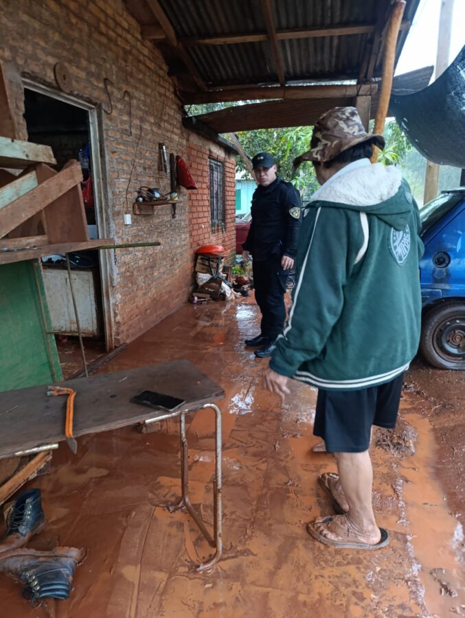 asistencia temporal 4 - 9