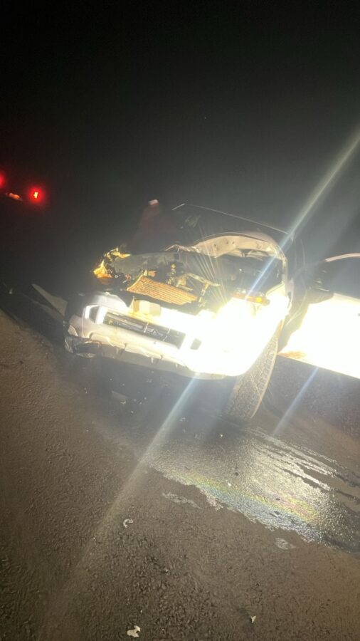 Terminó hospitalizado tras embestir a un caballo sobre la Ruta Costera 2 en Tres Capones 1 2 - atropello caballo 1 - 1