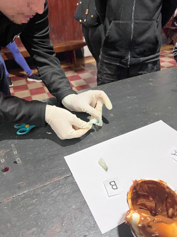 El postre tenía cocaína: la descubrieron con droga oculta para sus hermanos detenidos en San Javier 3 6 - droga a hermanos 3 - 5