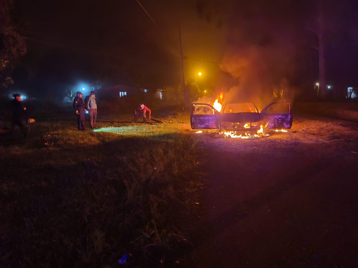 fuego en auto (3)