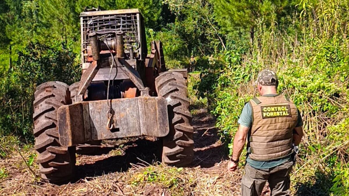 Misiones creó un registro para sancionar y controlar infractores ambientales