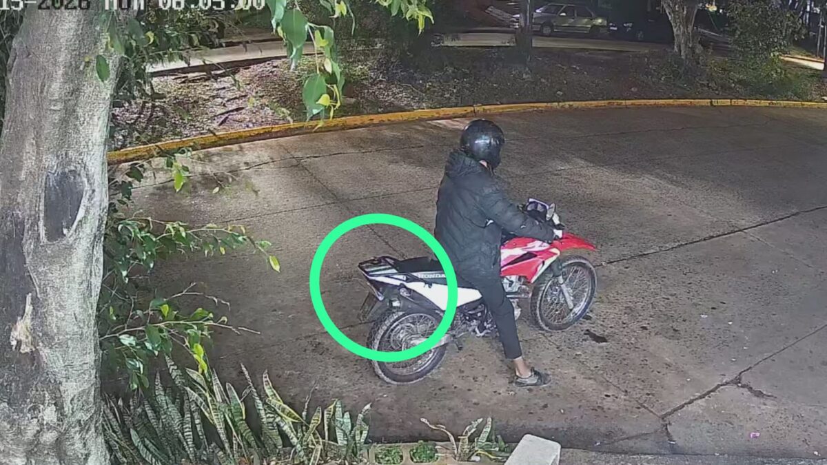 Atraparon a dos delincuentes que robaron una billetera y salieron de compras con las tarjetas en Posadas 1 2 - ladrones y compras 1 - 1