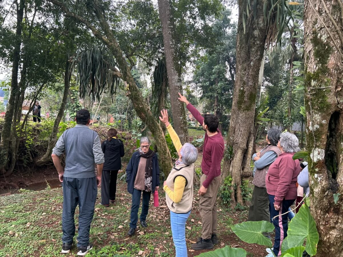 Adultos mayores disfrutaron de una jornada recreativa en el Jardín Botánico de Montecarlo 6 12 - montecarlo 7 - 11