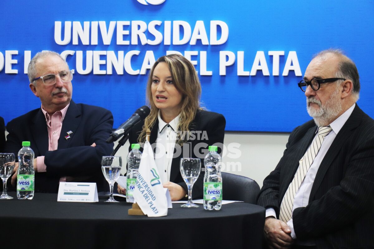 Passalacqua participó de la apertura del Congreso Internacional de Misiones Jesuíticas Guaraníes 9 18 - passalacqua cuenca del plata 6 - 17