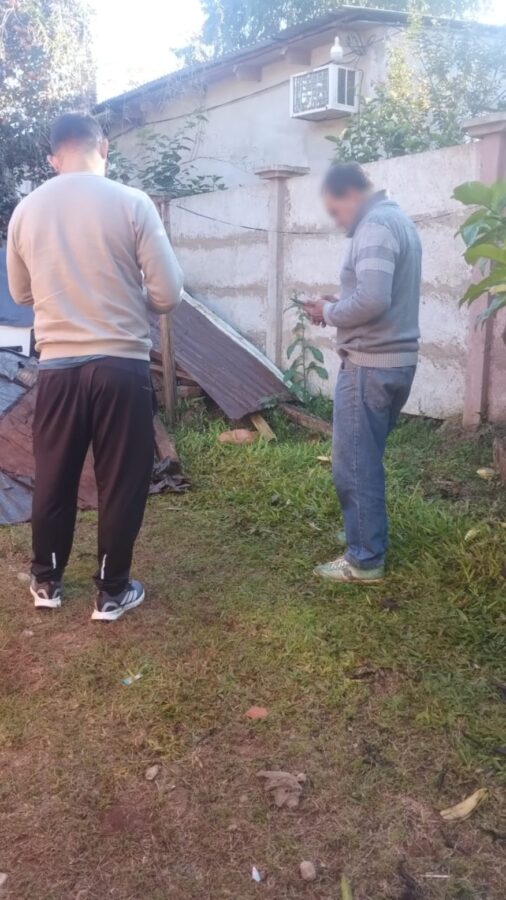 perros guarani 12 - 23