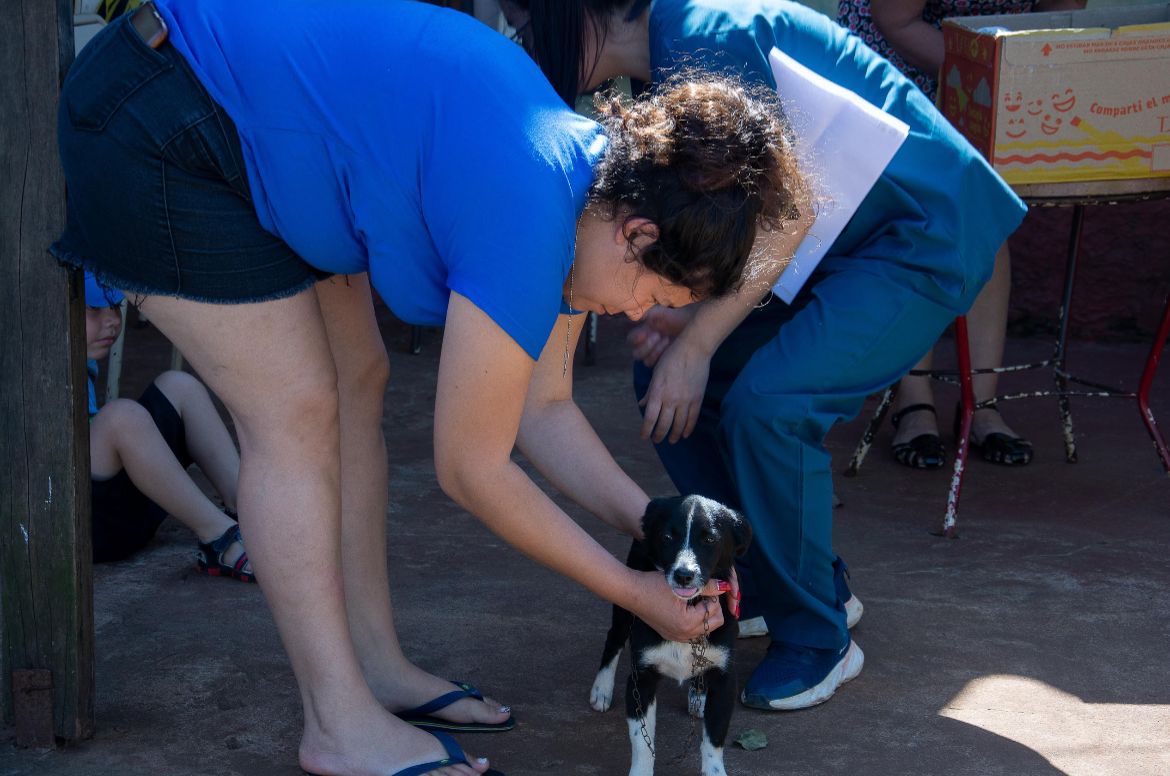 San Javier fortalece su política de sanidad animal y ya superó las 1.500 castraciones gratuitas 3 6 - san javier castraciones 4 - 5