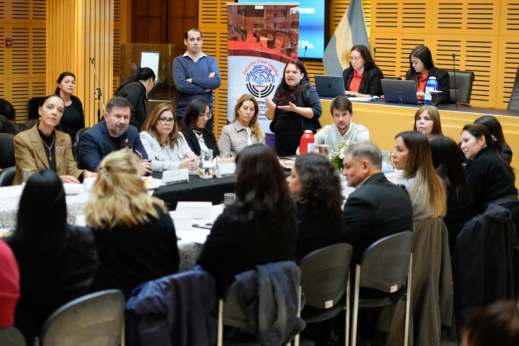 Spinelli pidió fortalecer el trabajo articulado para garantizar derechos a las personas con discapacidad 1 2 - spinelli - 1