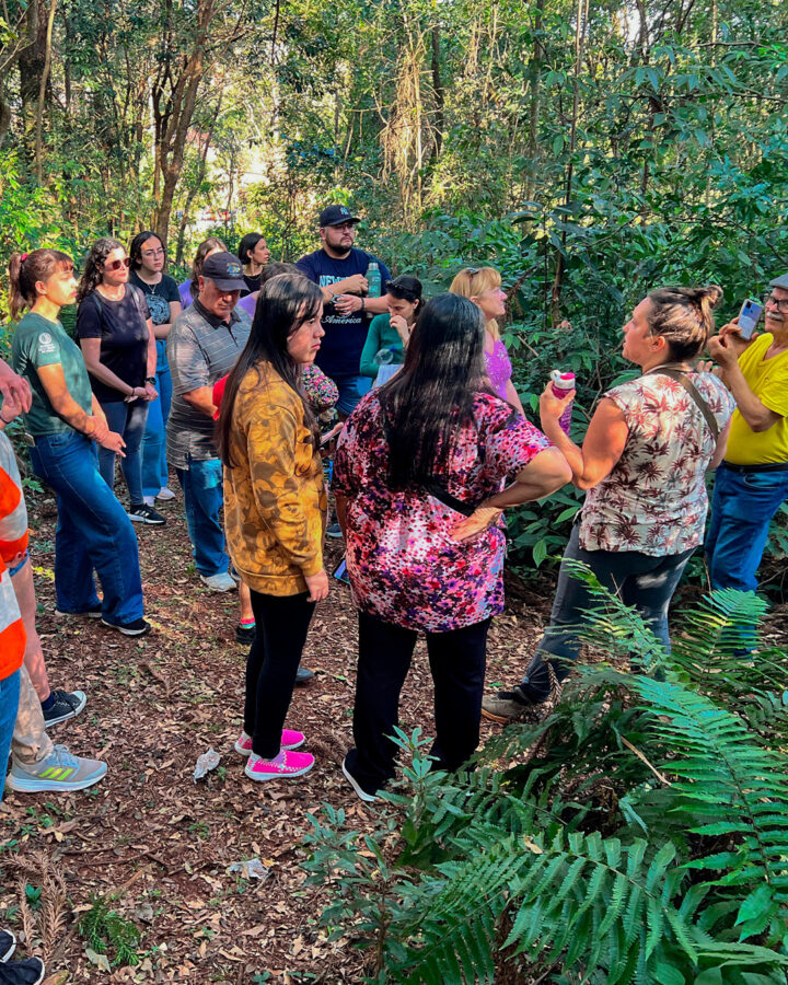Misiones invita a vivir el invierno con naturaleza, cultura y aventura en toda la provincia 3 6 - Misiones invita a vivir el invierno con naturaleza cultura y aventura en toda la provincia 1 - 5