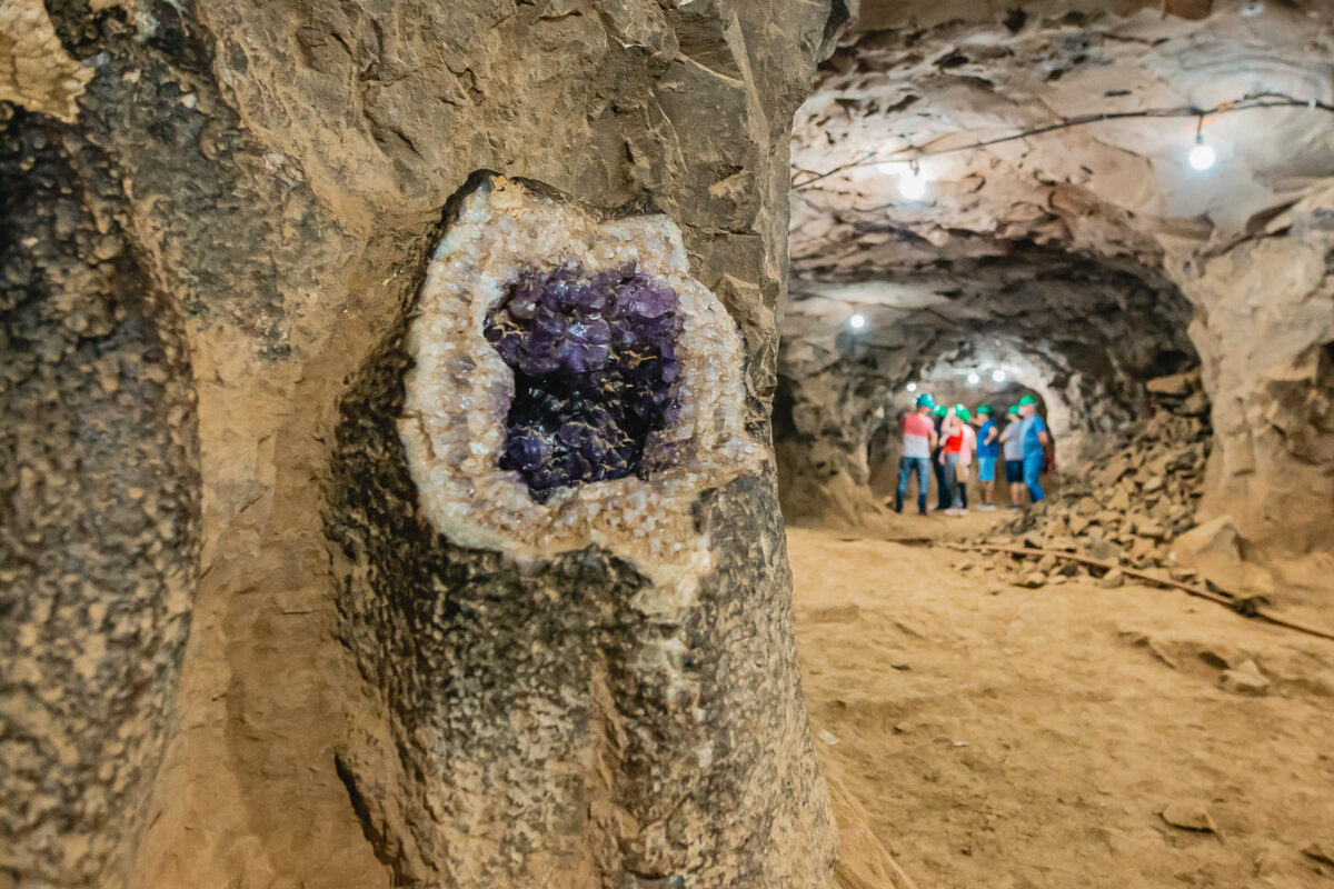 Misiones invita a vivir el invierno con naturaleza, cultura y aventura en toda la provincia 4 8 - Misiones invita a vivir el invierno con naturaleza cultura y aventura en toda la provincia 5 - 7