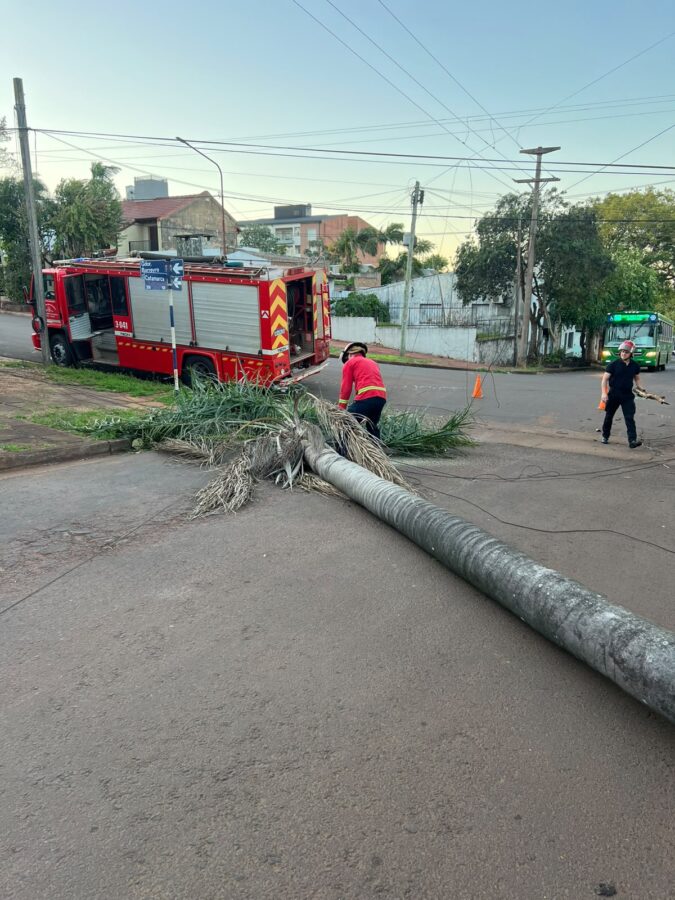 Operario de EMSA resultó herido al reparar daños provocados por incendios: bomberos ya superan las 60 intervenciones 2 4 - bombero e intervencions 2 - 3