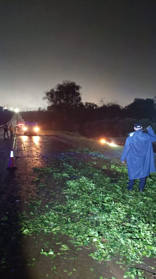 Una familia despistó tras chocar contra un raído de yerba sobre la Ruta Provincial 13 1 2 - despiste de yerba 1 - 1