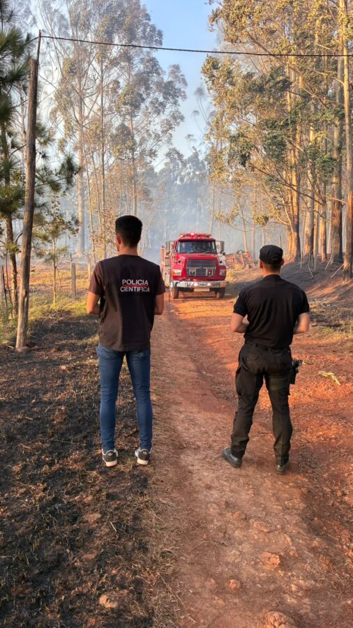 Fuertes vientos provocaron un incendio que afectó a tres aserraderos en San Vicente 2 4 - incendio 2 - 3
