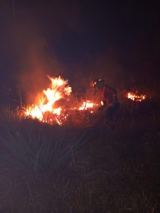 incendios 2 - 1