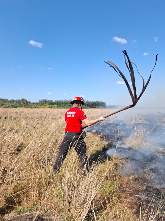 Viento, fuego y riesgo: los bomberos realizaron más de 20 intervenciones en pocas horas 3 6 - intervenciones bomberos 3 - 5
