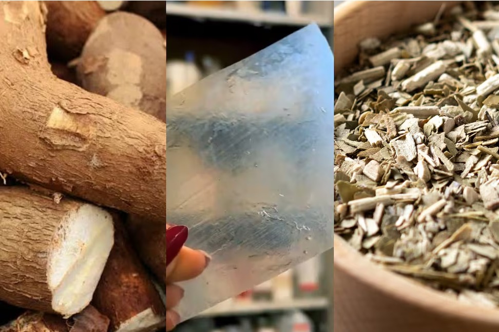 material biodegradable