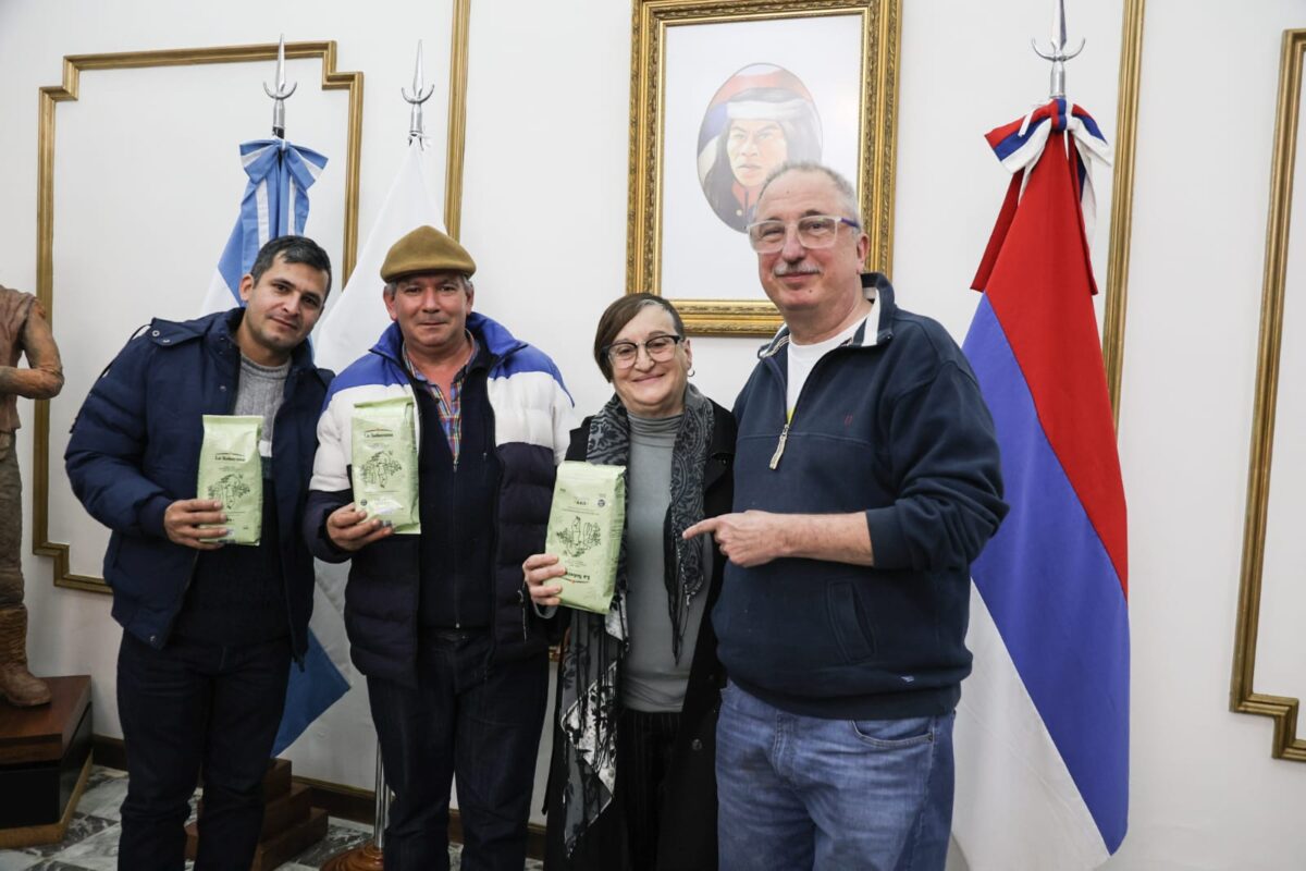 passalacqua yerba 6 - 9