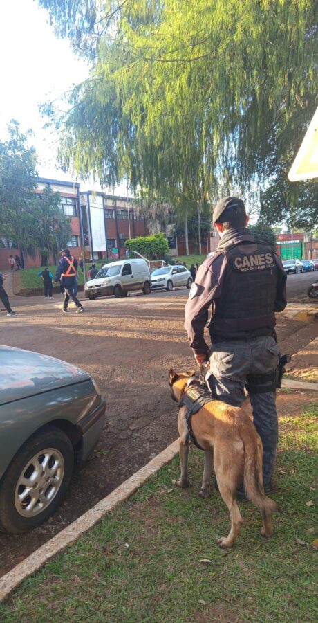 La Policía de Misiones fortalece su Unidad K9 con nuevos binomios para búsquedas y operativos especiales 7 14 - perros polis 7 - 13