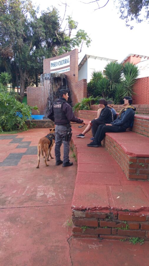 La Policía de Misiones fortalece su Unidad K9 con nuevos binomios para búsquedas y operativos especiales 9 18 - perros polis 9 - 17