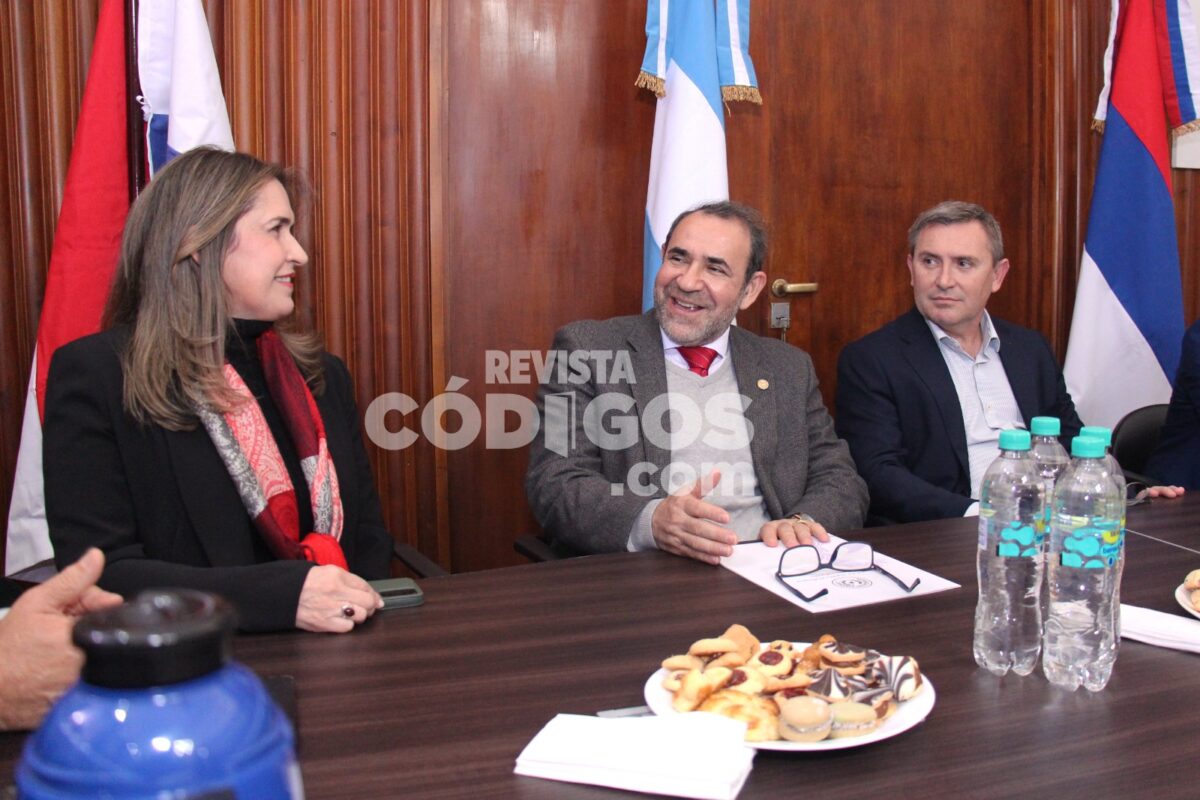 Misiones y Paraguay impulsan una agenda de integración con foco en el comercio y el tránsito fronterizo 8 16 - reunion misiones paraguay 9 - 15