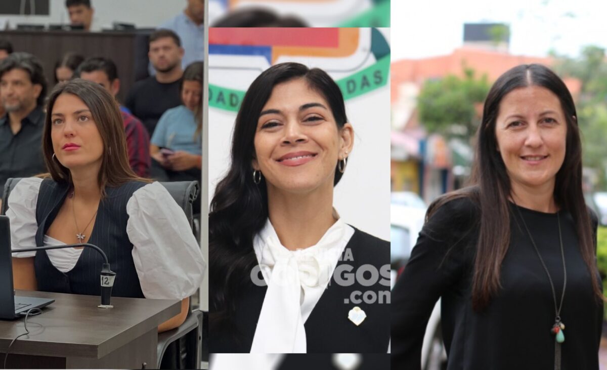 El Concejo de Posadas suma un nuevo bloque alineado con Passalacqua y Encuentro Misionero pierde representacion - 1