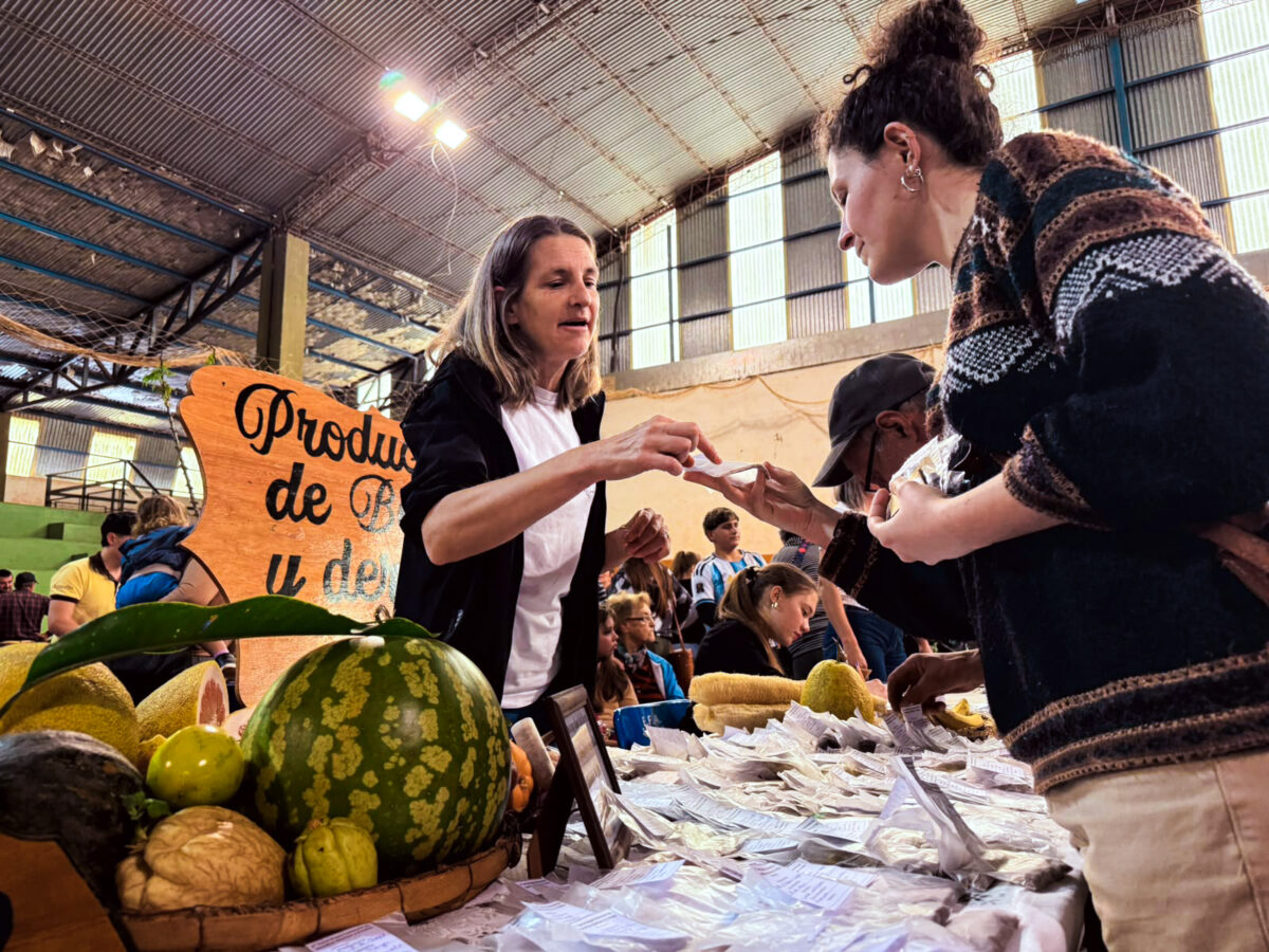 Más de 200 personas participaron de la Feria de Semillas Nativas y Criollas en Alba Posse 3 6 - Feria Zonal.Semillas AlbaPosse 1 - 5