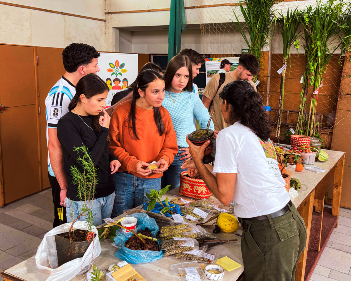 Más de 200 personas participaron de la Feria de Semillas Nativas y Criollas en Alba Posse 2 4 - Feria Zonal.Semillas AlbaPosse 2 - 3