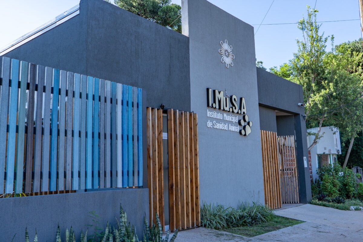 La Municipalidad de Posadas explica qué hacer ante el fallecimiento de una mascota