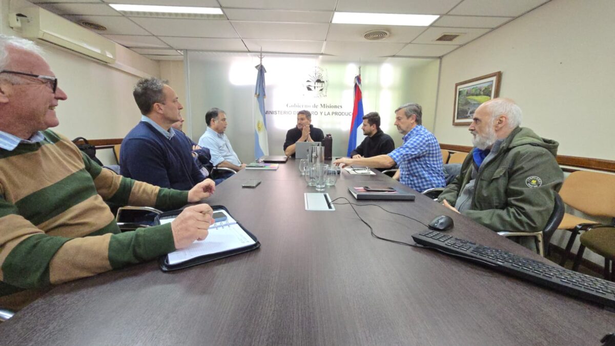 Misiones coordina acciones para enfrentar el posible impacto de "El Niño" en el sector productivo 1 2 - Reunion Agro ElNino 1 - 1