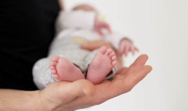 Una especialista cuestionó a Milei y descartó que el aborto explique la caída de la natalidad en Argentina