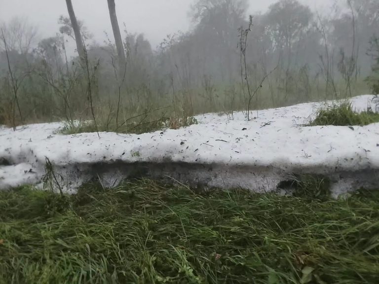 Passalacqua informó el despliegue de equipos de emergencia tras el fuerte temporal en Misiones