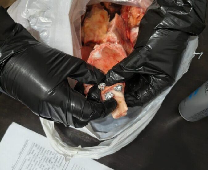 carne y cocaina (2)