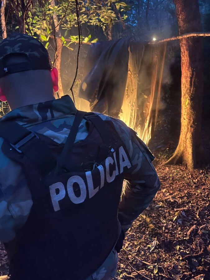 Huellas, trampas y saleros: desmantelaron dos campamentos utilizados para la caza furtiva en Montecarlo 2 4 - caza furtiva 2 - 3